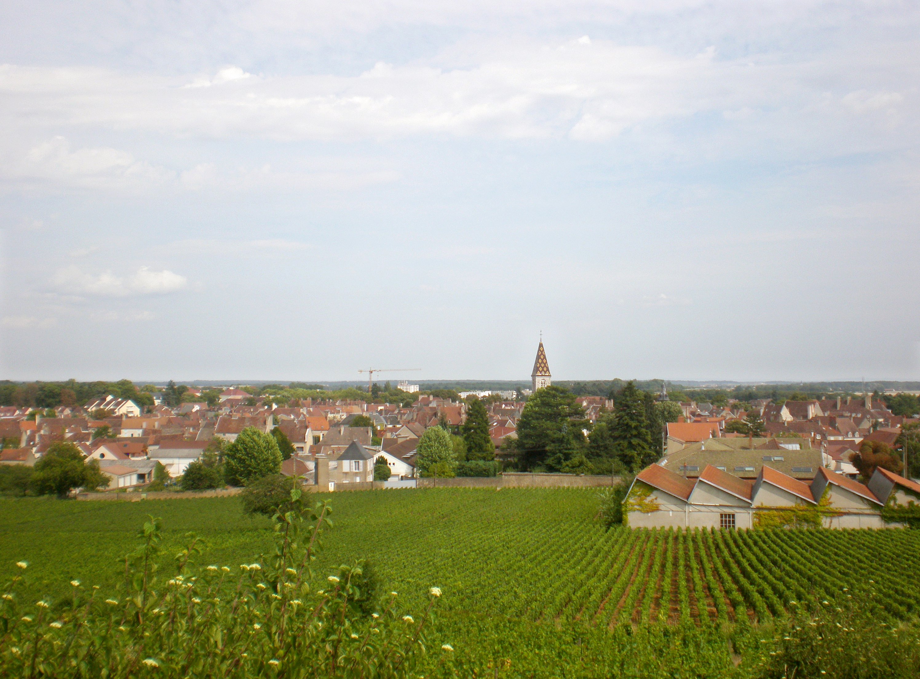 Ville_nuits-saint-georges.jpg