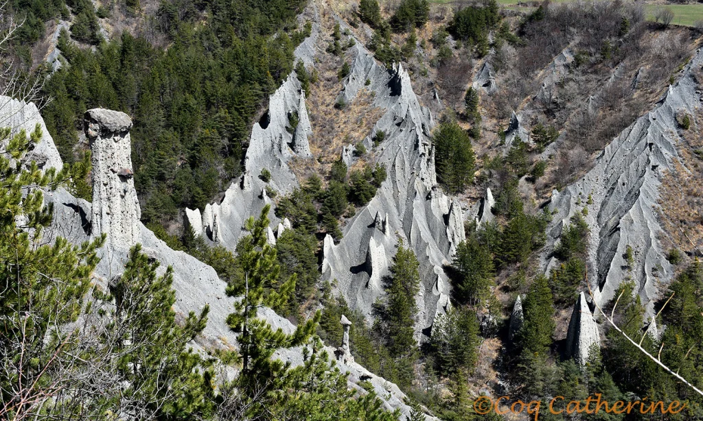 demoiselles-coiffees.webp demoiselles-coiffees.webp