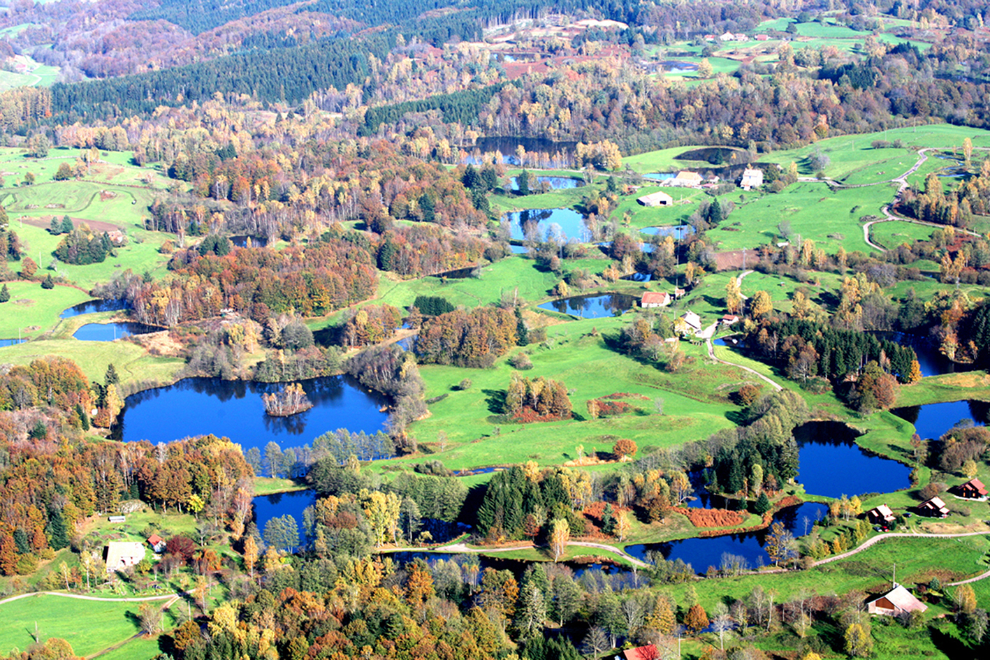 plateau-mille-etangs.jpg